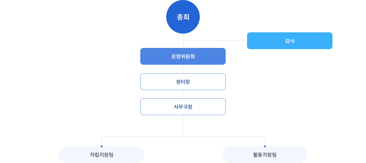 비젼장애인자립생활센터 조직도